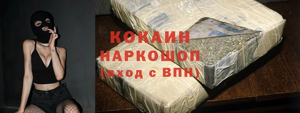 дживик Корсаков