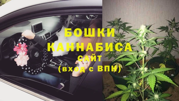 дживик Корсаков